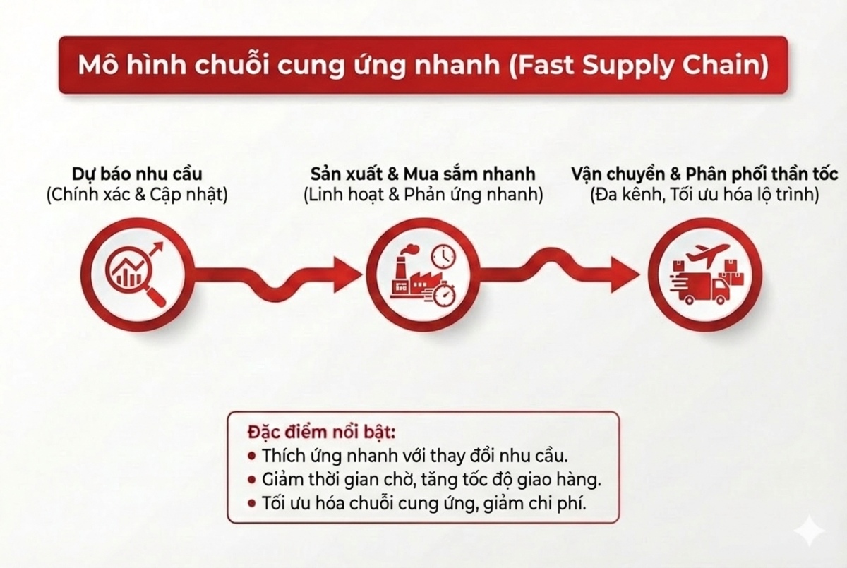 Mô hình chuỗi cung ứng nhanh (Fast Supply Chain)