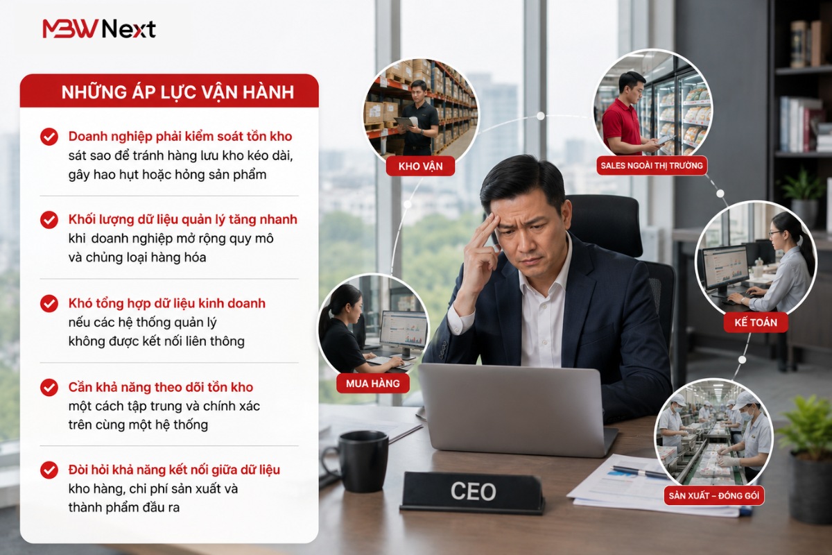 [Case Study] Áp dụng MBW Next cho ngành hàng Sản xuất phân phối thực phẩm đông lạnh
