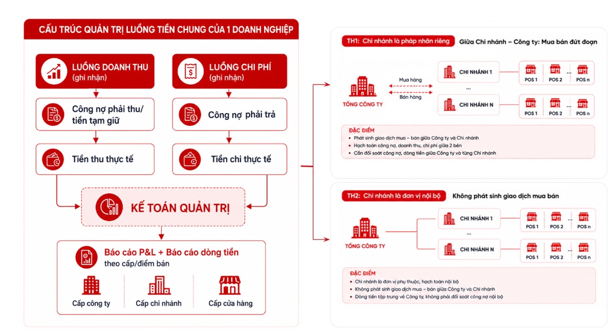 Tổng quan cấu trúc quản trị luồng tiền của doanh nghiệp