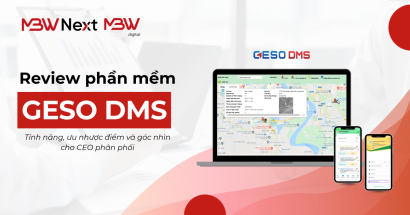 review-geso-dms